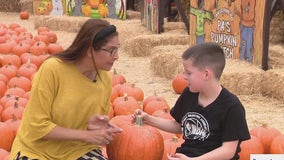 Wednesday's Child: Hanging out with Nate at Pa's Pumpkin Patch