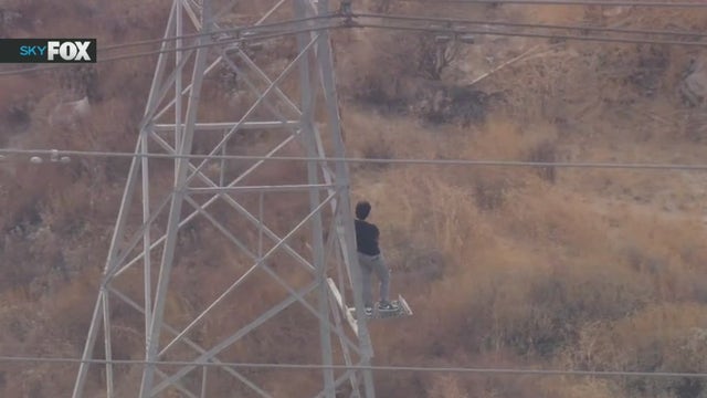 Crime spree suspect arrested after standoff in Lakewood