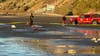 Human skull found on LA County beach