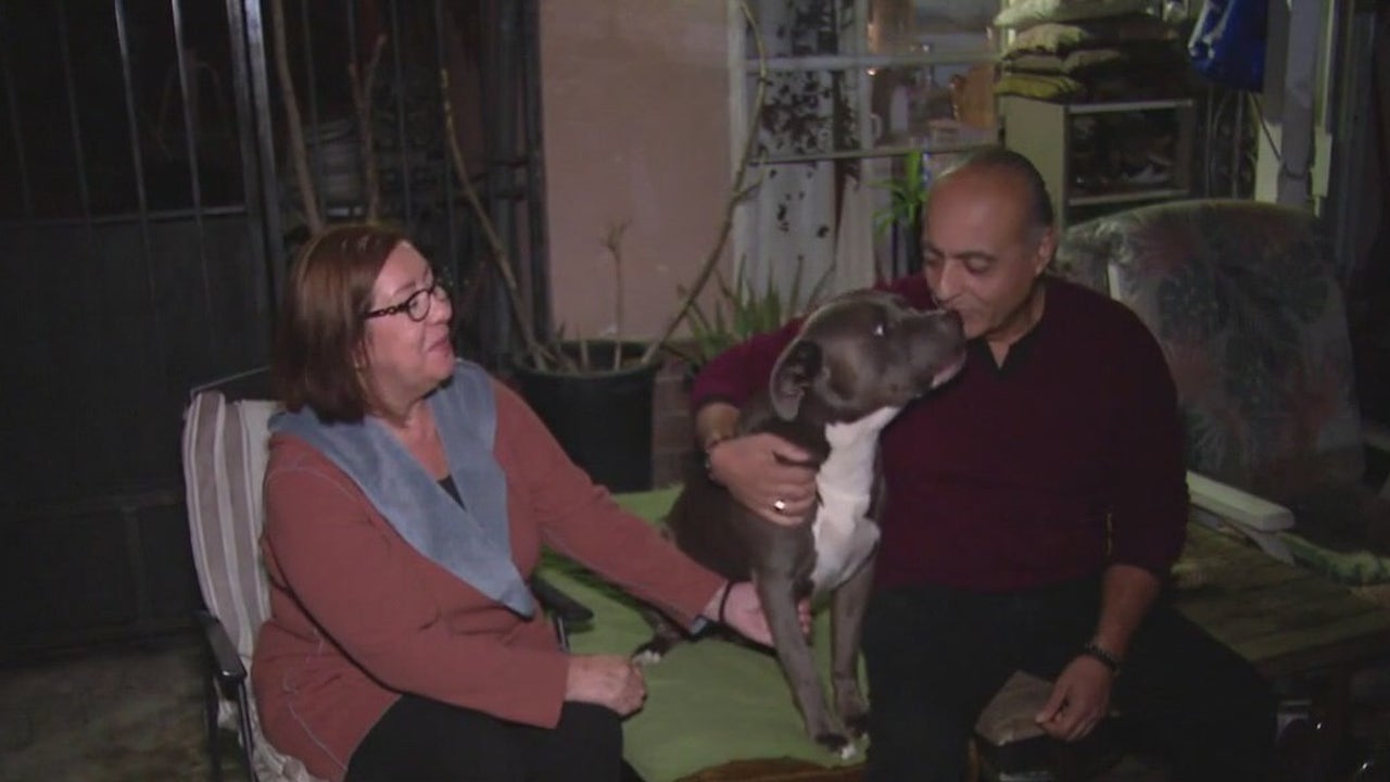 Burbank couple fighting to keep dog from being euthanized