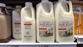 Bird flu virus detected in raw milk sold in California; recall issued