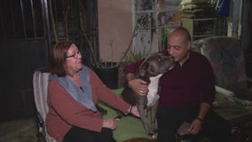 Burbank couple fighting to keep dog from being euthanized