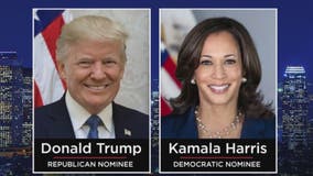 Trump dominating over Harris in betting markets ahead of Election Day