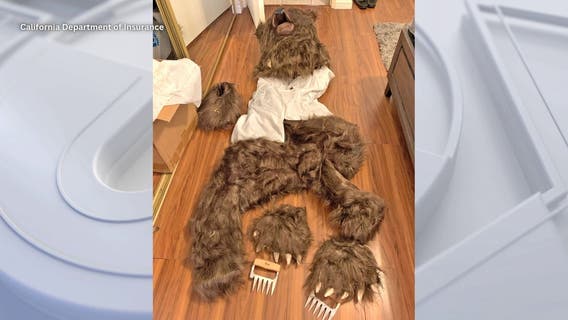 Group accused of staging fake bear attack by having their friend wear furry costume