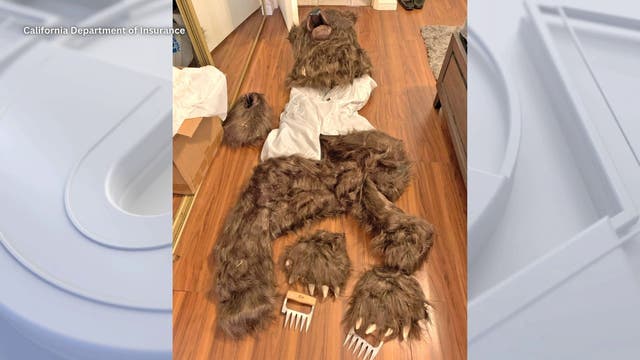 Group accused of staging fake bear attack by having their friend wear furry costume