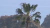 Malibu braces for more Santa Ana winds