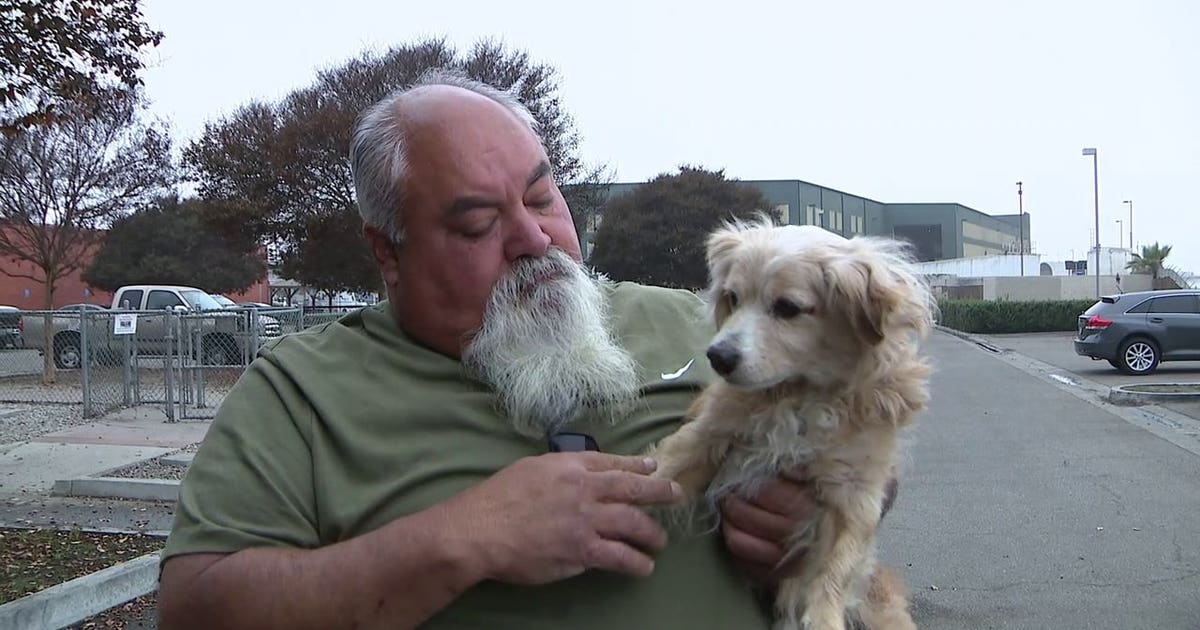 Man reunited with dog for holidays after 11 years apart | FOX 11 Los ...