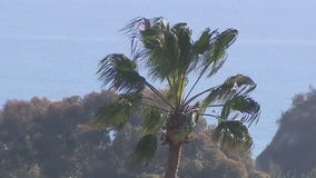 Malibu braces for more Santa Ana winds