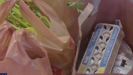 Pedestrian hit and killed by two buses near LAX