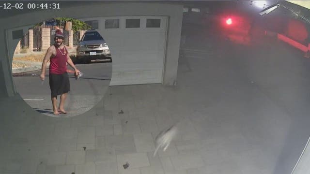 Truck driver crashes through wall of Mission Hills home, abandons dog