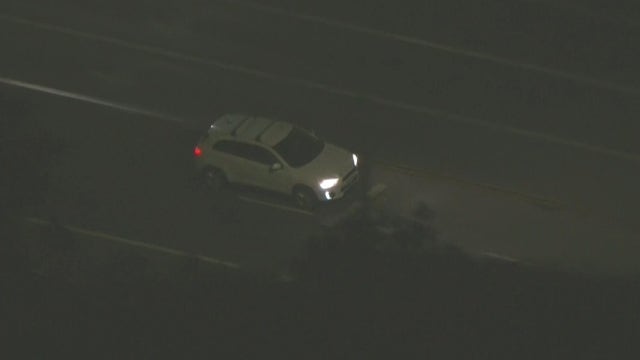 Chaffey College students embrace "Pet Your Stress Away Day" amidst finals season