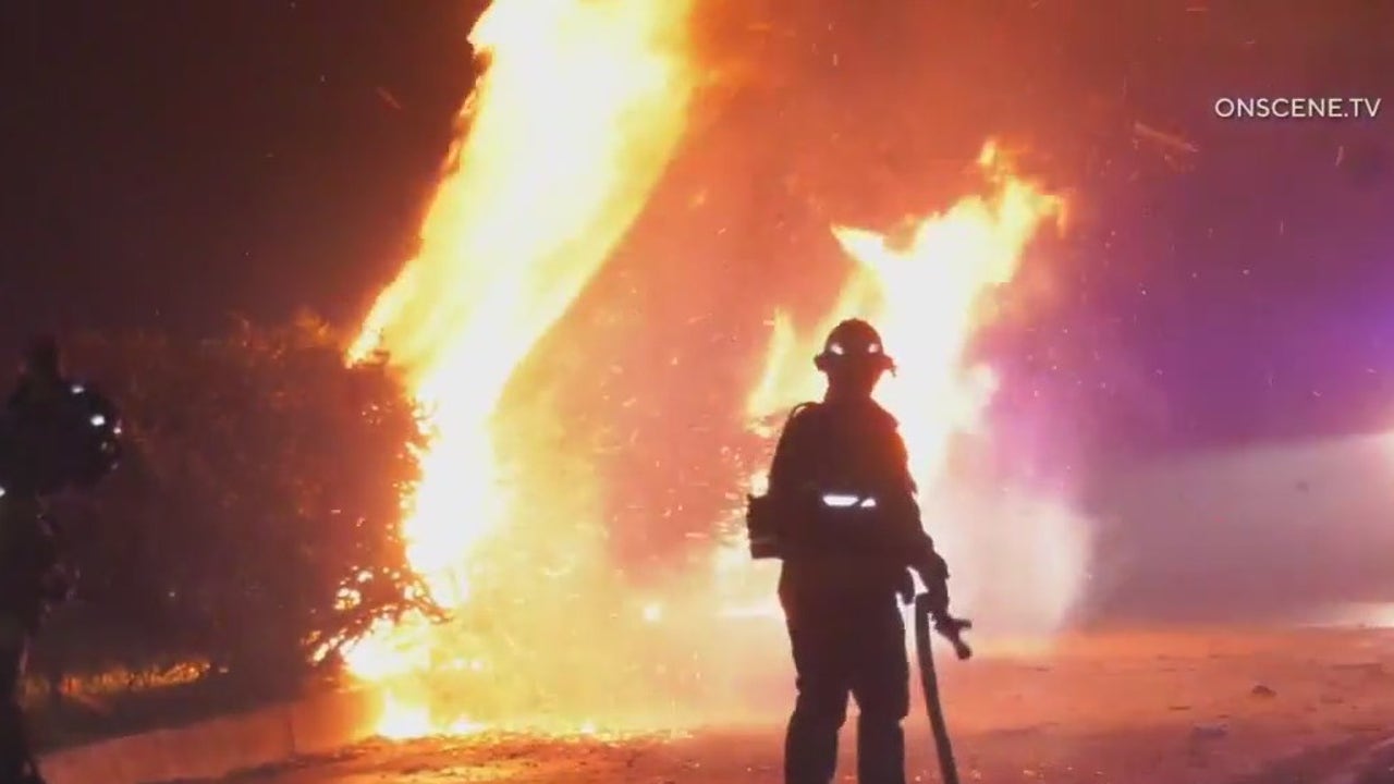 Hollywood Hills fire: Evacuations lifted as crews gain control