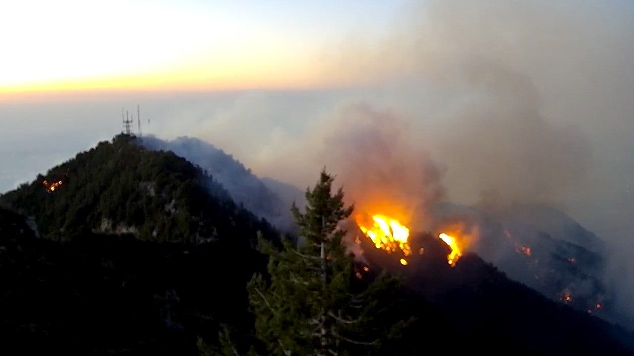 California fires live video: Watch Los Angeles webcams