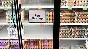 Egg prices continue to rise, could soar another 20% this year
