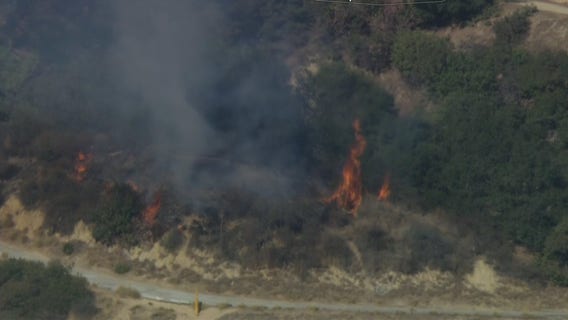 Griffith Park Fire: Arson suspect arrested, LAPD says