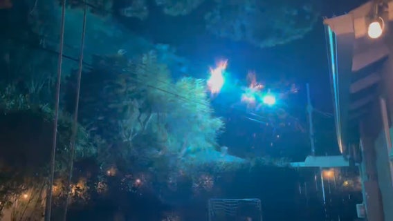 Venice residents concerned about 'exploding' power lines behind homes, LADWP responds