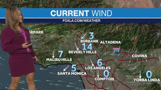 Santa Ana winds relax across Southern California - for now