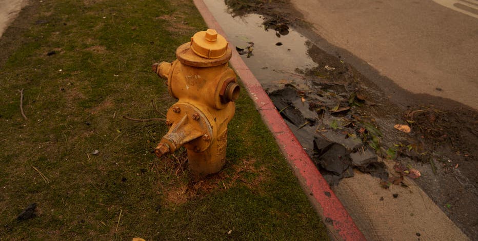 Newsom calls for investigation into LA water supply issues during California wildfires