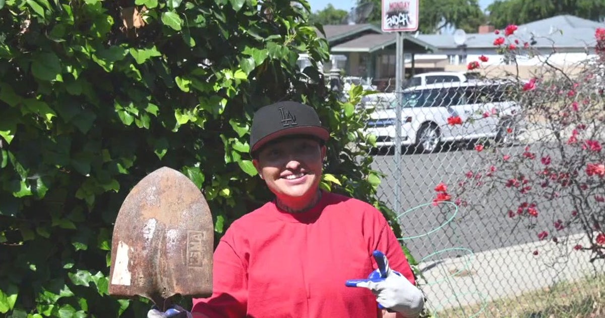 www.fox13seattle.com