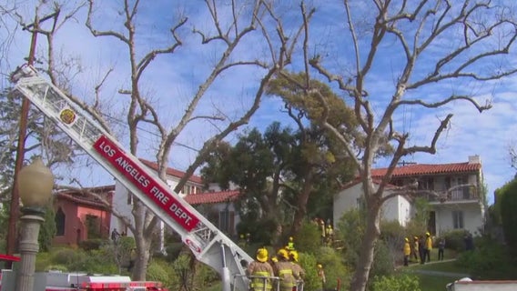 Tree trimmer rescued after electric shock let him dangling 25 feet off the ground