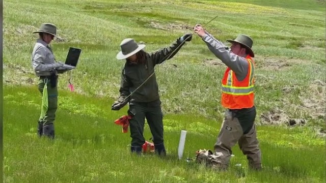 Thousands of National Park, Forest Service employees laid off amid Trump, Elon Musk's budget cuts