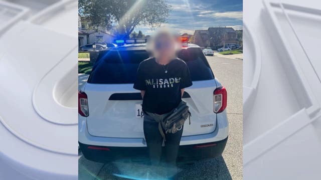 Woman in 'Palisades strong' shirt arrested allegedly looting home in Palisades Fire area