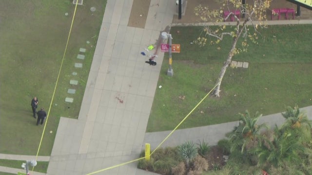 Teen stabbed at LA student protest over Trump's immigration policies