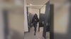 Peeper caught on camera in College of the Canyons bathroom