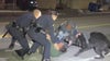Alhambra police, K9 unit take down pursuit suspect