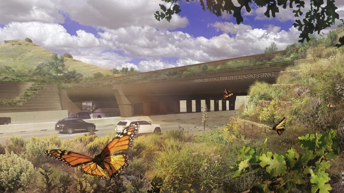 World's largest wildlife crossing sets opening date