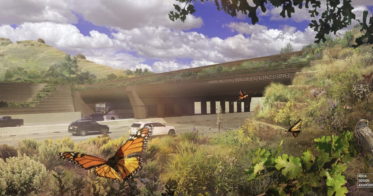 World's largest wildlife crossing sets opening date