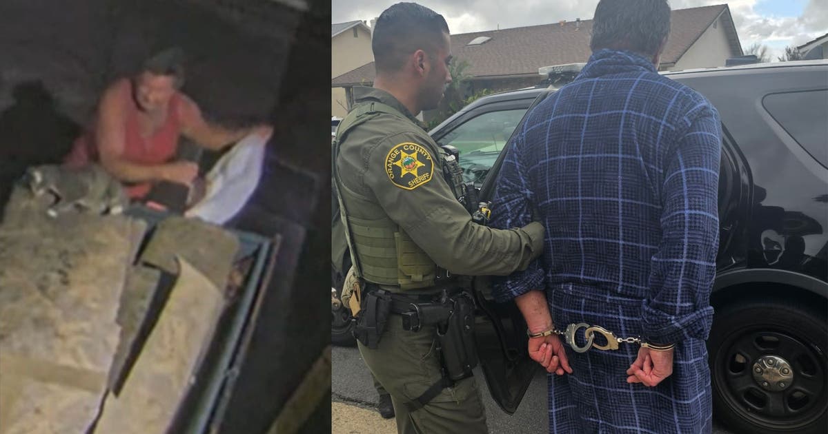 Suspect caught on camera throwing injured cat into dumpster arrested ...