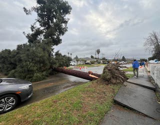 Pico Rivera tornado confirmed by NWS as storm knocks down trees | FOX 10  Phoenix