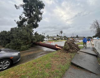 Pico Rivera tornado confirmed by NWS as storm knocks down trees | FOX 10 Phoenix