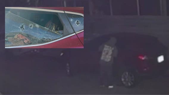 Multiple cars vandalized, broken into in Venice