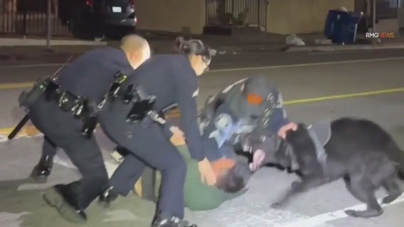 Alhambra police, K9 unit take down pursuit suspect