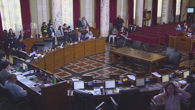 LA City Council cracking down on foul language