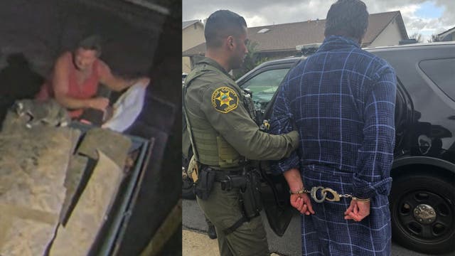 Suspect caught on camera throwing injured cat into dumpster arrested