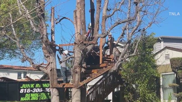 Popular Boney Island treehouse in Sherman Oaks torn down
