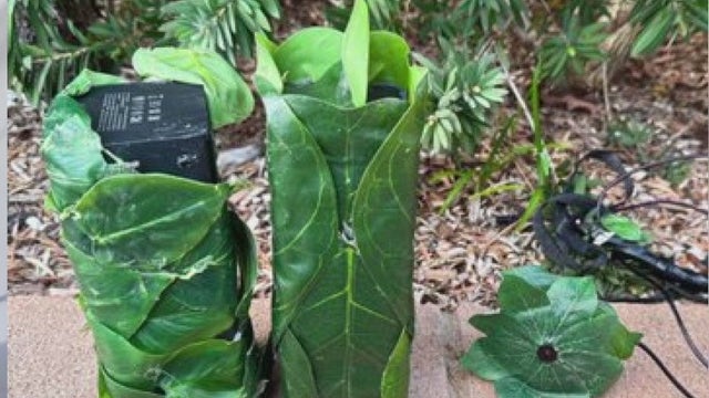 Hidden camera discovered in Chino Hills gated community