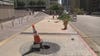 Trees hacked by chainsaw-wielding vandals in DTLA