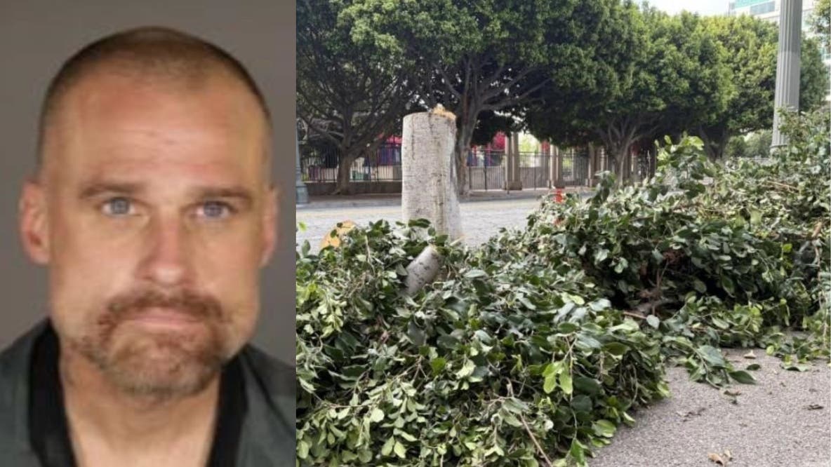 'Chainsaw arborist' sentenced for destroying downtown LA trees