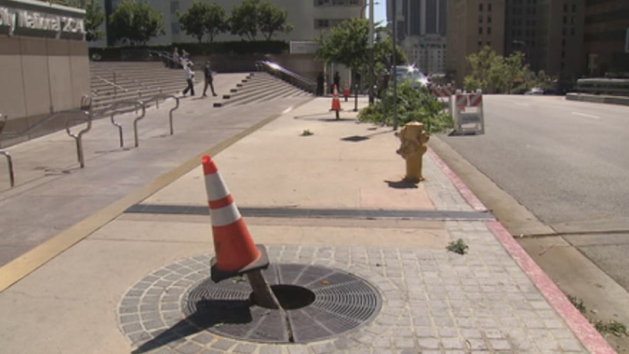 Trees hacked by chainsaw-wielding vandals in DTLA | FOX 11