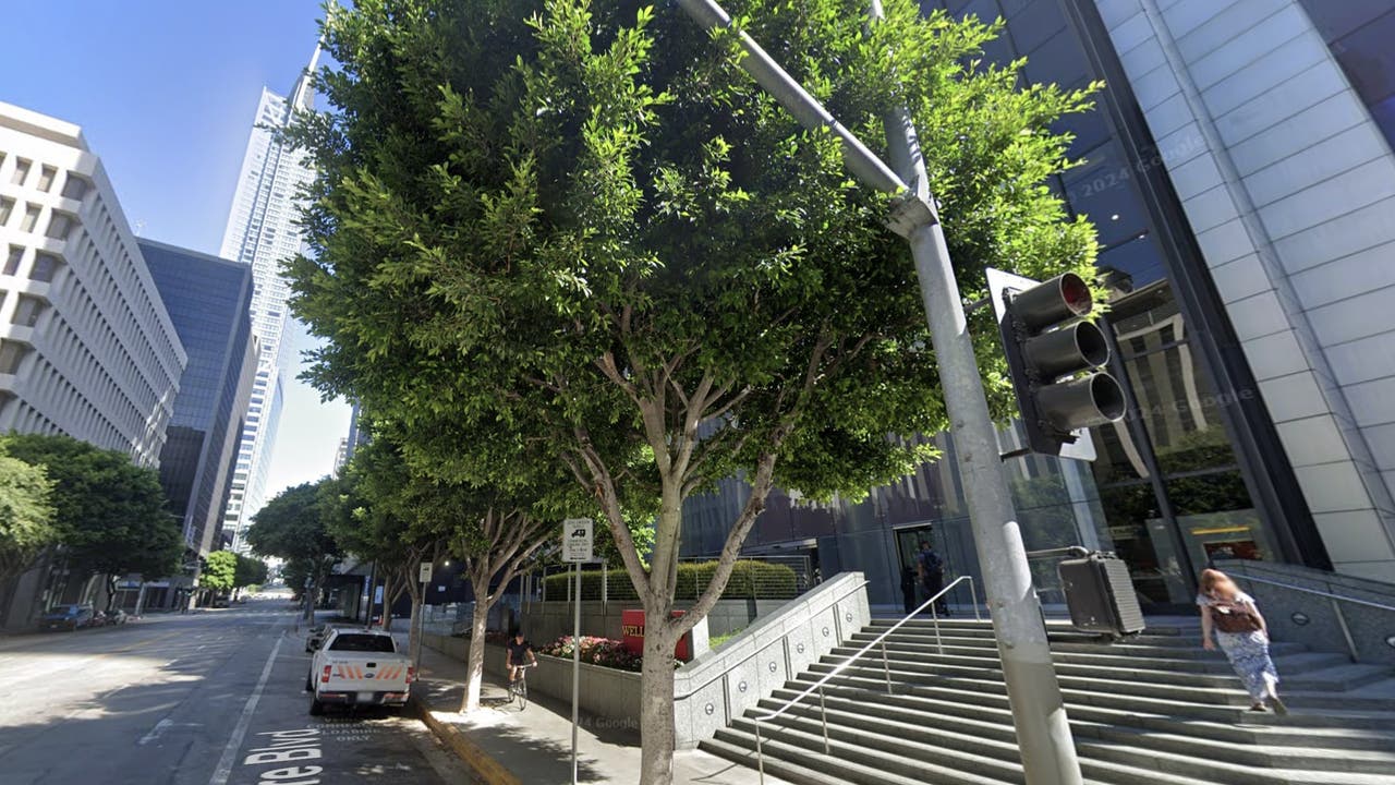 Vandals chop down trees in downtown LA