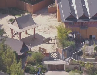 zoo LA Zoo's last remaining Asian elephants to be relocated to