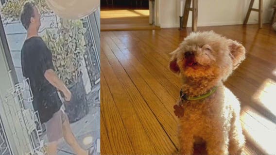 Pit bull owner in fatal dog attack in Santa Monica identified, police say