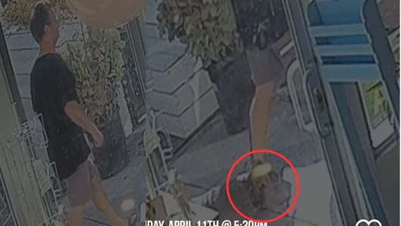 Santa Monica dog attack: Owner of pit bull sought after toy poodle's killing
