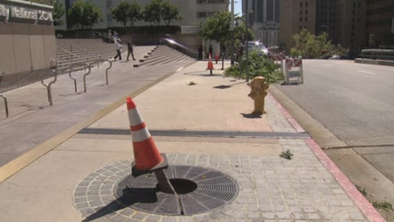 Trees hacked by chainsaw-wielding vandals in DTLA