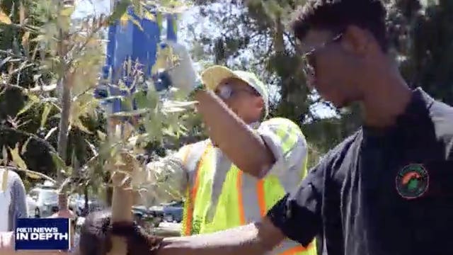 In Depth: Community Rebuilding and California Service Corps