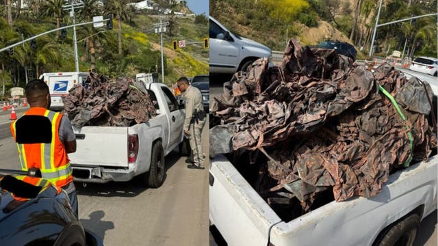 Suspected copper thief arrested in Pacific Palisades